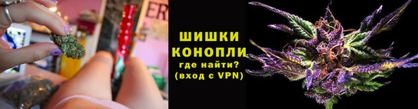 прущие крисы Нефтекумск