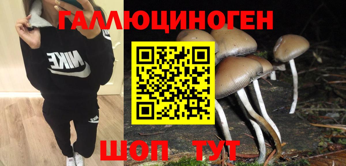 Тавда  Псилоцибиновые грибы Psilocybe  Вход с VPN 