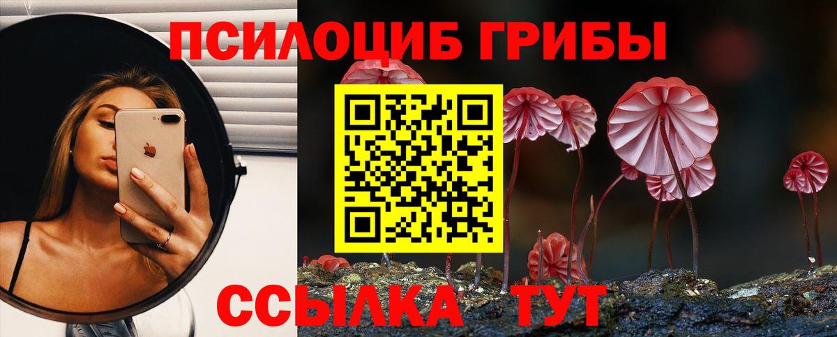 Галлюциногенные грибы Psilocybine cubensis Тавда